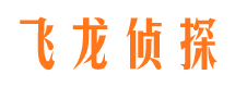 双塔寻人公司